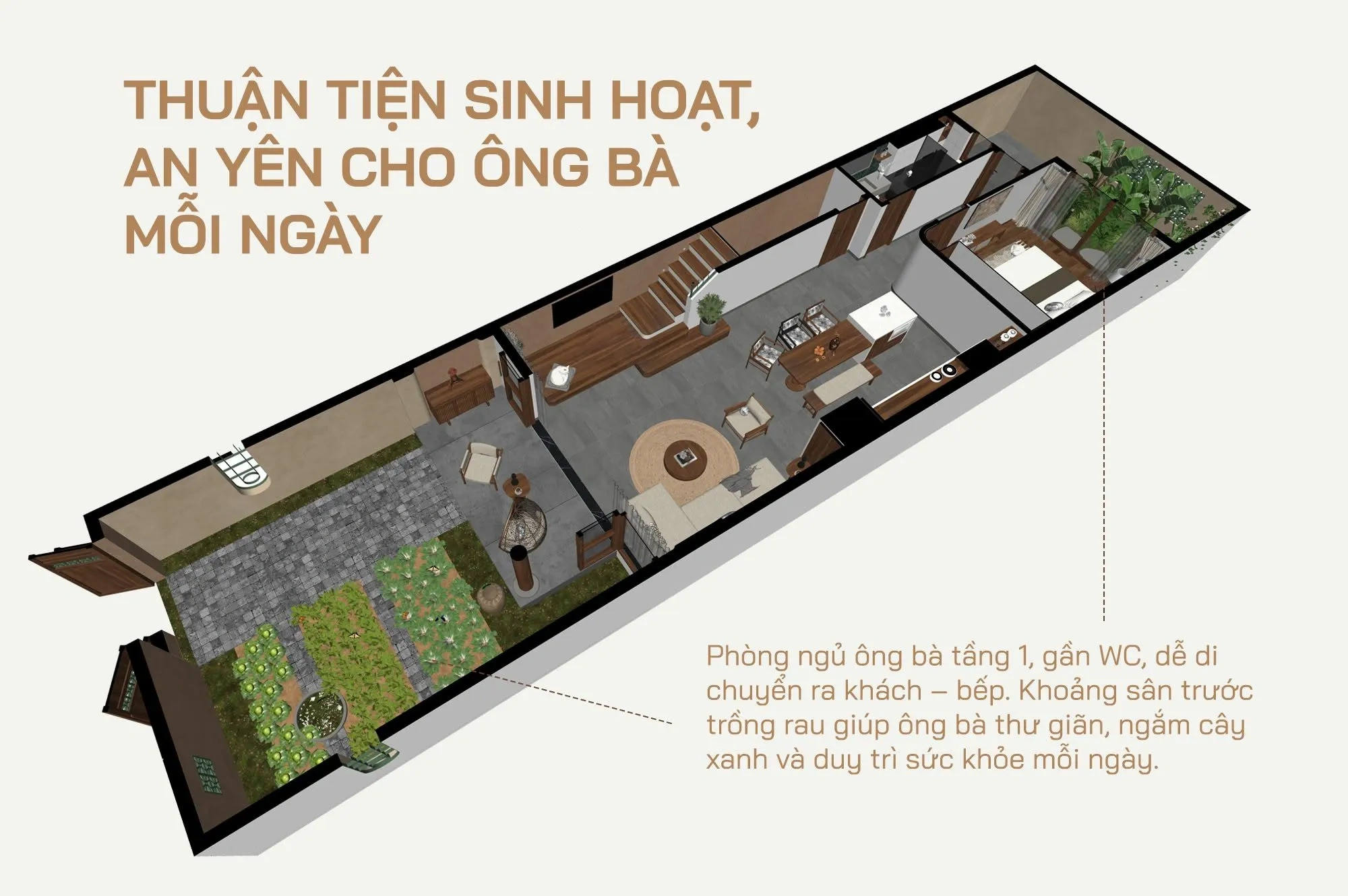Bố trí công năng 3D tầng 1 sân trước trồng rau, hiên trà, phòng khách, bếp và phòng ngủ ông bà